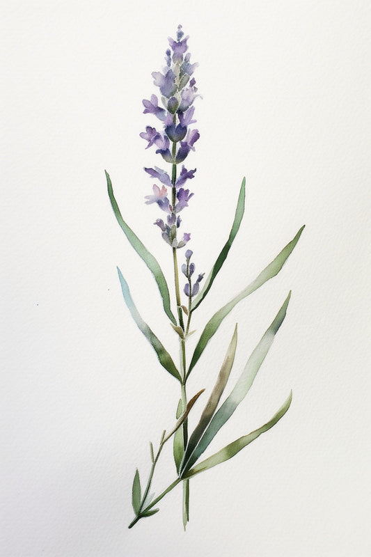 Minimal Lavender Sprig - Original Watercolor Botanical Print | Digital Print | Download