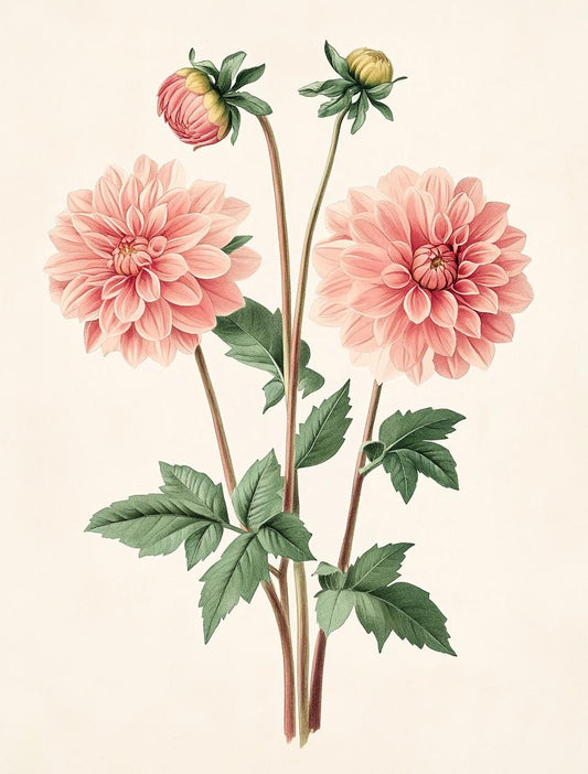 Charming Vintage Pink Dahlia Watercolor Art Print | Minimalist Floral Wall Art | Warm Dusty Tones | Custom Canvas and Digital Download